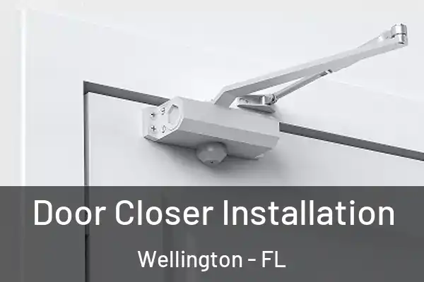 Door Closer Installation Wellington - FL
