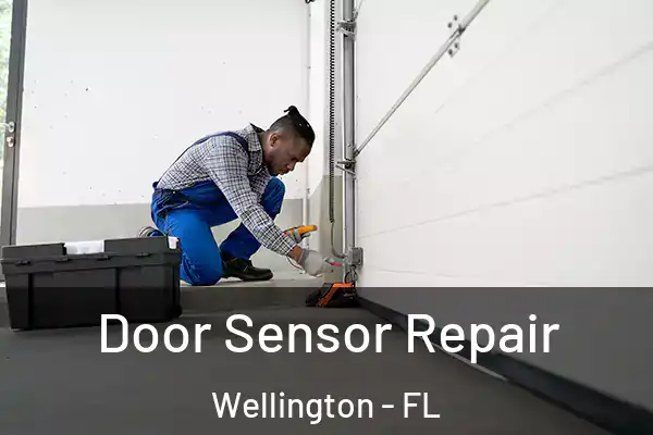 Door Sensor Repair Wellington - FL