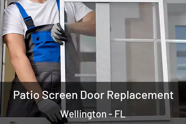 Patio Screen Door Replacement Wellington - FL