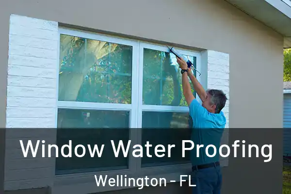 Window Water Proofing Wellington - FL